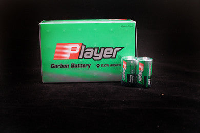 Player C Batteries - 24 Count Box