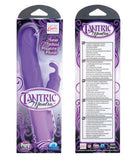 Tantric Mantra - Purple