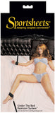 Under The Bed Restraints