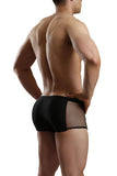 Fishnet Brief - Black - One  Size