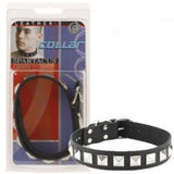 Single Strap Studded Collar