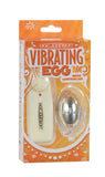 Vibrating Egg With Controller - Silver
