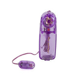 Vivid - Mini Bullet - Sunrise - Purple