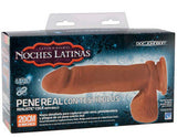 Noches Latinas - Pene Real Con Testiculos 8-Inch - Brown