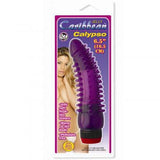 Jelly Carribean Calypso - Purple