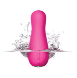 Form 4 - Pink