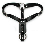 Anal Plug Harness With Cock Ring