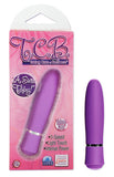 Taking Care Of Business Personal Massager -  Purple