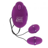 Advanced Risque Dual Teasers - Purple