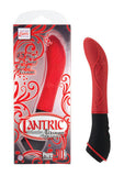 Tantric 10-Function Nirvana Massager - Red
