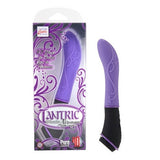 Tantric 10-Function Nirvana Massager - Purple