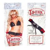 Tantric Binding Love Corset With Wrist Cuffs
