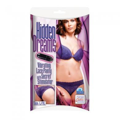 Hidden Dreams Panty - Large/Extra Large