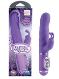 Tantric Mantra - Purple
