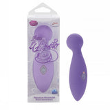 Petite L Amour Premium Massager - Petite Indulgence - Purple