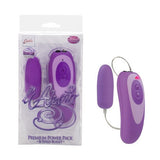 L'Amour Premium Power Pack - 8-Speed Bullet - Purple