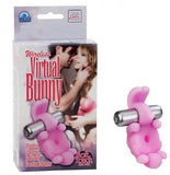 Wireless Virtual Bunny