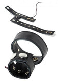 Electrosex Cock And Ball Strap