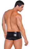 Wet Look Brief Style Jock  Strap