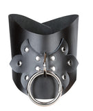 Leather Posture Collar