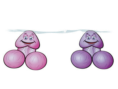 Bachelorette Party Favors Pecker Banner