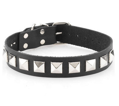 Single Strap Studded Collar
